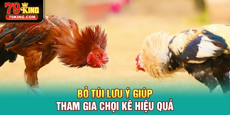 Bỏ túi lưu ý giúp tham gia chọi kê hiệu quả