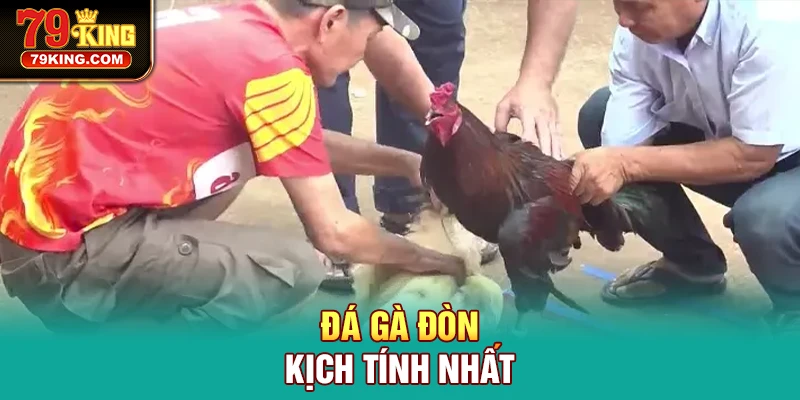 Đá gà đòn kịch tính nhất