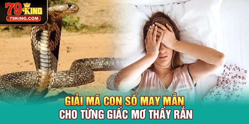 Hình ảnh rắn trong giấc ngủ tương ứng nhiều con số