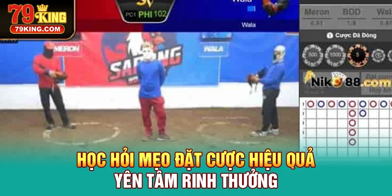 Học hỏi mẹo đặt cược hiệu quả yên tâm rinh thưởng