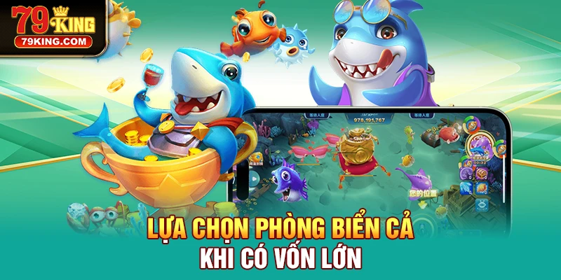 Lựa chọn phòng biển cả khi có vốn lớn