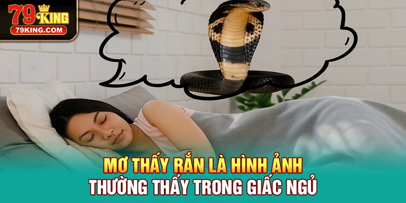 Mơ thấy rắn bò vào trong nhà mình mang điềm tốt lành